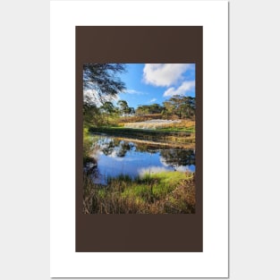 The Lilly Pond and Vines at Magpie Springs - Adelaide Hills / Fleurieu Peninsula / South Australia Posters and Art